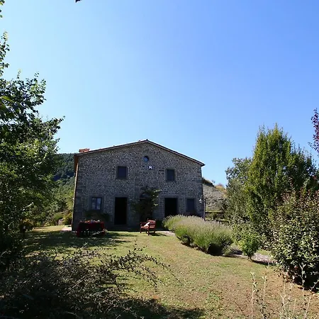 Domenica Apecchio